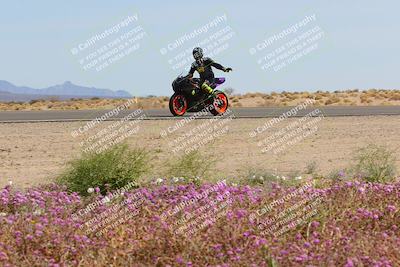 media/Mar-12-2023-SoCal Trackdays (Sun) [[d4c8249724]]/Turn 15 Inside Bloom (130pm)/